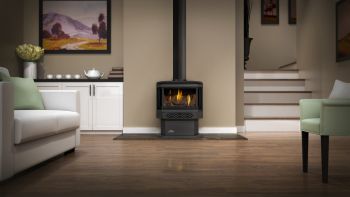 Napoleon Haliburton Direct Vent Gas Stove