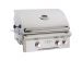 American Outdoor Grill 24" T- Series Built-In Gas Grill