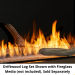 Majestic Driftwood Log Set for Lanai Outdoor Fireplace