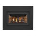 Napoleon Inspiration Direct Vent Gas Fireplace Insert