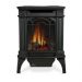 Napoleon Arlington GDS20 Cast Iron Direct Vent Gas Stove