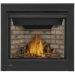 Napoleon Ascent X36 Direct Vent Gas Fireplace