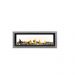 Napoleon Vector 50" LInear See-Through, Direct Vent Gas Fireplace, Natural Gas, Electronic Ignition