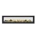 Napoleon Vector 74" See Thru Direct Vent Gas Fireplaces