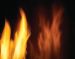 Napoleon Ascent X Mirror-Flame Porcelain Reflective Radiant Panels for GX42