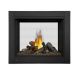 Napoleon Ascent Multi-View Series Direct Vent BHD4 Cradle
