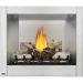 Napoleon Riverside 36 Clean Face Outdoor Gas Fireplace - GSS36CFN (Logs not included)